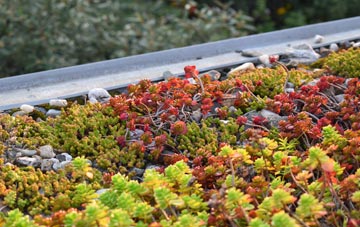 the cost of Colehall green roof installation